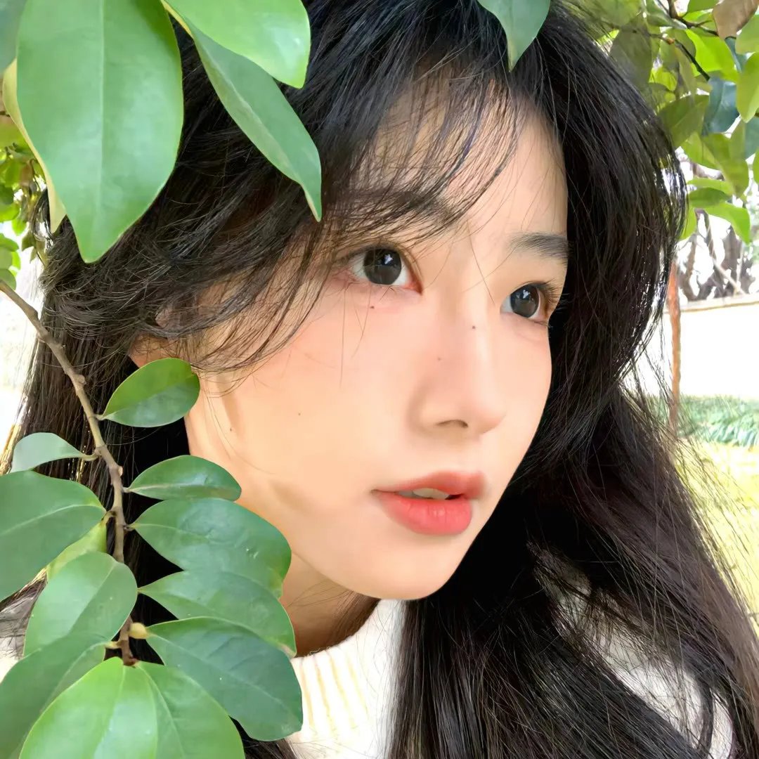 坠入爱河